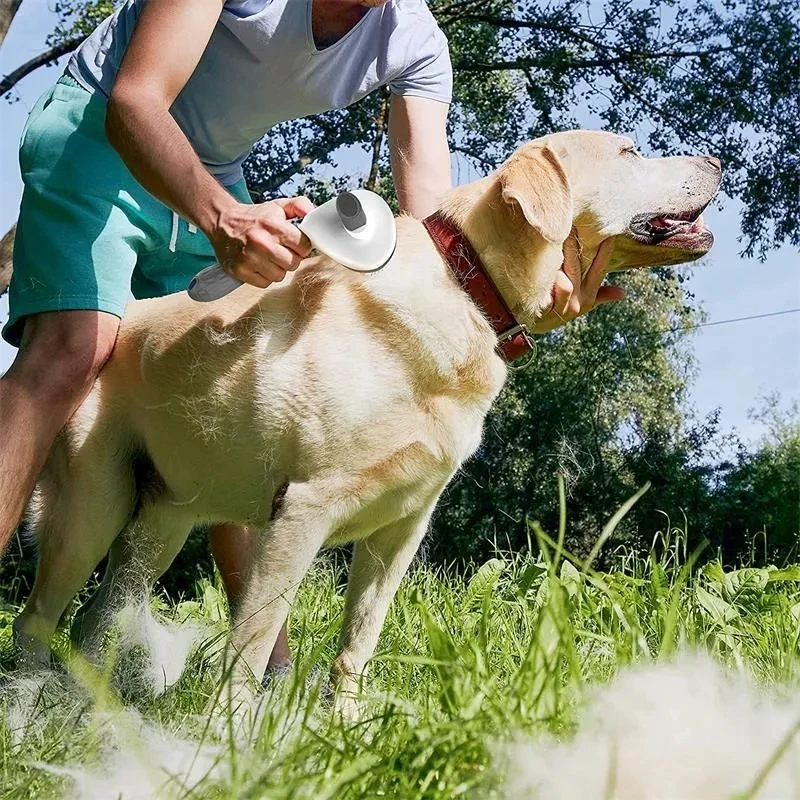 Escova Removedora de Pelos Autolimpante para Cães e Gatos - Imagem 16